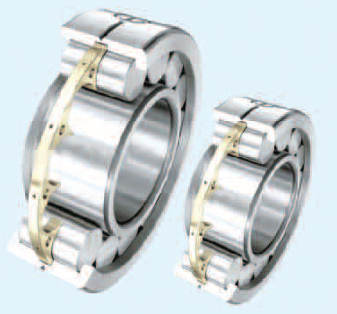 Overload roller bearing
