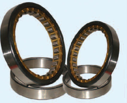 Single row cylindrical roller bearing